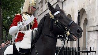 "HORSING AROUND AT HORSE GUARD: A DAY OF LAUGHTER AND FUN IN LONDON!"