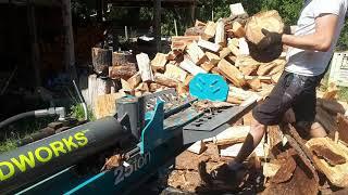 Cutting and Splitting Firewood