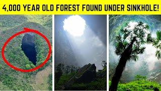 World’s Most Unexpected Discoveries That Shocked Humanity!