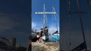 Почему женщины уходят от хороших мужчин?! #shorts #психологеленакиселева #психология