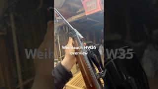 Weihrauch HW35 #shorts #fyp #weihrauch #airguns