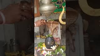 Har Har Mahadev  Jay Bholenath  Sk Chotila Vlogs ️ New Vlog Short Video