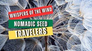 Whispers of the Wind: Nomadic Seed Travelers