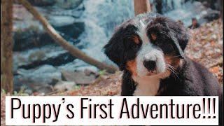 Pupdate: 9 WEEK OLD PUPPY'S FIRST ADVENTURE!!! (Cuteness OVERLOAD) | Emma Bauer