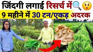 अदरक की खेती मे कर दी PHD‍खोल दिये सारे राज | Ginger Farming Explained in Details🫚|Adrak ki kheti