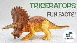 TRICERATOPS FACTS! | Fun & Educational | Dinosaurs For Kids | Best Dinosaur Facts