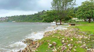 Hurricane Beryl Creating Damage in Jamaica July 3, 2024 Time 9am MUST WATCH