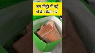 GrOw bag kaise bharen || How to fill a Large grow bag with less soil #gardening