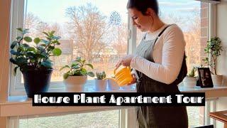 House plant tour