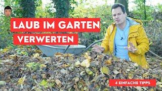 So wirst du dein Laub los - 4 Tipps wie DU Laub im Garten nutzen kannst