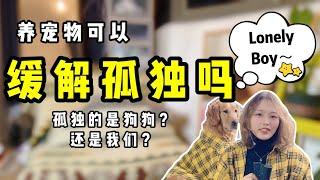 養狗狗的原因 | 养狗狗可以缓解孤獨吗【养汪事务所】