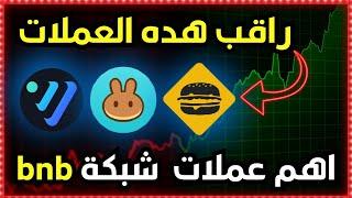 العملات الرقمية سترتفع قريبًا! اكتشف أهم عملات شبكة بايننس: CAKE – VENUS – BURGER