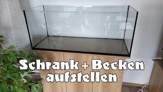 Neues 160-Liter Aquarium :: Schrank aufbauen, Becken aufstellen und die erste Probefüllung