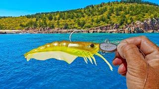 Fish Can Not RESIST This Lure!