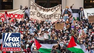 'Teaching and preaching antisemitism': Former Harvard professor issues warning