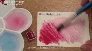 Winsor & Newton Cotman paint Rose Madder 580