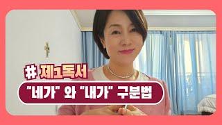 6.9(월) "네가" 와 "내가" 구분법 [2025 다해_교회의 어머니 복되신 동정 마리아 기념일] #천주교미사 #매일미사 #프란치스코 #나선희