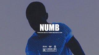 Tayc x Burna Boy x Tems x Wizkid Afroswing Type Beat 2024 "NUMB" | Afrobeat Instrumental