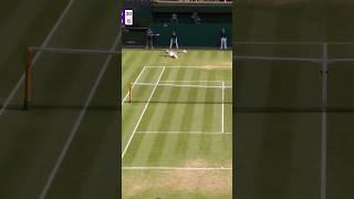 Tag a pickleball player who dives on court like this  #shorts #tennis #pickleball