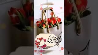 صباح الورد والياسمين على الناس الطيبين @aichabn6098