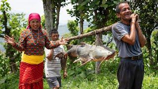 How we Catch 38 kg's Fish in River ? Biggest Fish Cutting, Cooking and Eating | Kanchhikitchen