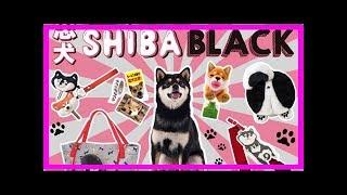 人氣黑柴周邊「忠犬shiba black」於felissimo登場