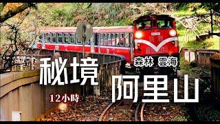 離天空最近的秘境山城阿里山四大奇景一次收集復古小火車高CP值鐵路便當絕美森林雲海｜奮起湖阿里山｜TAIWAN｜【國旅玩什麼】