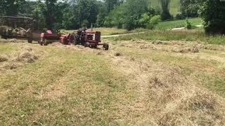 IH 806 bailing hay with a NH 316