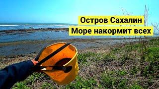 Остров Сахалин. Море накормит всех // Sakhalin island. The sea feeds everyone (Eng Subs)