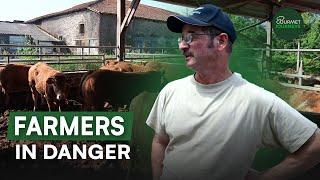 The DARK Side of French Farming You Never Knew