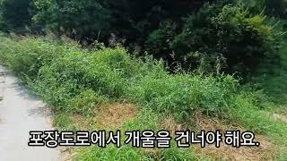 1460.[4천만원] 음성군 음성읍 용산리 시내권 주말농장