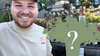 Plant Shopping When It's Over 100º & Yes I Bought Sad Plants 🪴|| Visit Our Garden