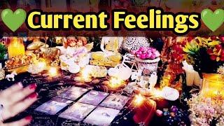 Current FeelingsMessages From Your PersonAll Signs Collective Timeless Tarot Reading