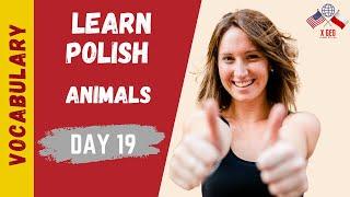 LEARN POLISH ► (DAY 19) ► 72 Polish VOCABULARY Words - Animals #XGEO