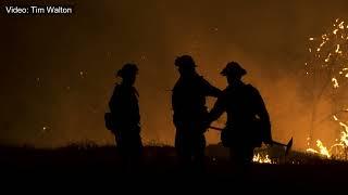 CAL Fire Hand Crews (Music Video)