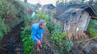 Air Melimpah Hidup Sederhana di Usia Tua, Mak Ating Tinggal Sendiri di Rumah Pinggir Selokan