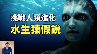 人類是由海洋生物進化來的？水生猿假說挑戰人類起源理論 Aquatic ape hypothesis【老肉雜談】