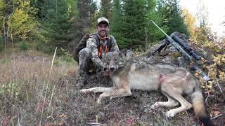 WESTERN WOLF HUNTING 8