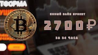 НОВЫЙ ХАЙП ПРОЕКТ - ️ZONTIK