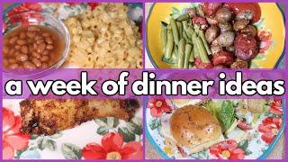 SIMPLE DINNER IDEAS | What’s For Dinner? #334 | 1-WEEK OF REAL LIFE MEALS