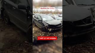 Проверяете отчёт перед покупкой авто?