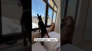 Полные выпуски у меня на канале  #строимдом #строимсами #ушп #одноэтажныйдом