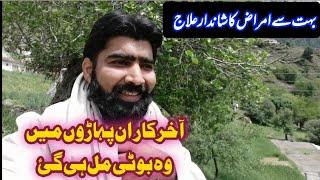 Amazing medicinal herb kheyber paktonkha | fumitory health benefits in urdu | farooqi Dawakhana