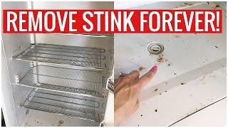 Stinky Fridge or Freezer? How to REMOVE the SMELL for GOOD!! (Cleaning Hacks) | Andrea Jean Cleaning