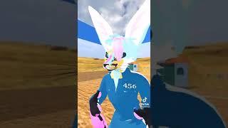 Furry TikTok Memes! #23