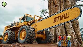 Extreme Dangerous Fastest Big Chainsaw Cutting Tree Machines | Monster Stump Removal Excavator #111