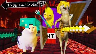 CURSED MEME CATS VS. DOGS FUNNY BATTLE IN MINECRAFT! - Part 1