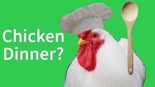 How to Cook an Old Chicken (What to do with Hens After they Stop Laying)