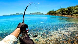 Fishing the Shoreline