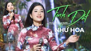 Hót Nhất Hôm Nay TÌNH ĐẤT - Như Hoa | Bài Hát Nhẹ Nhàng Tình Cảm Nghe Là Mê | MV Official 4k.